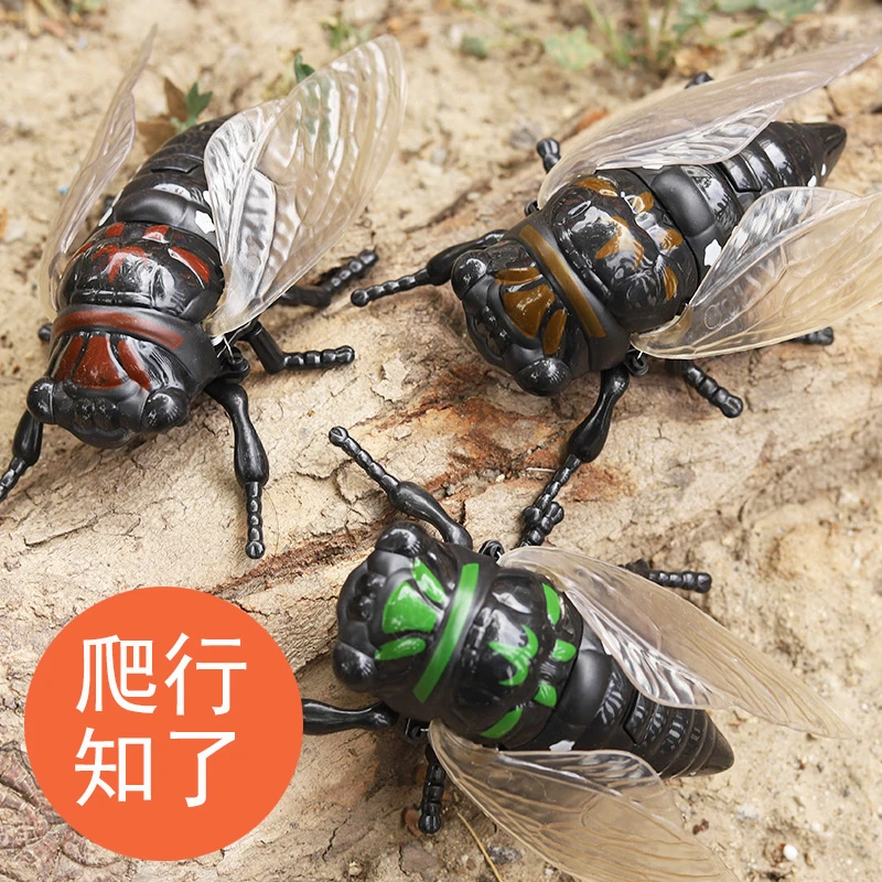 新款上链条知了仿真爬行动物发条玩具昆虫创意玩具夏蝉金蝉模型
