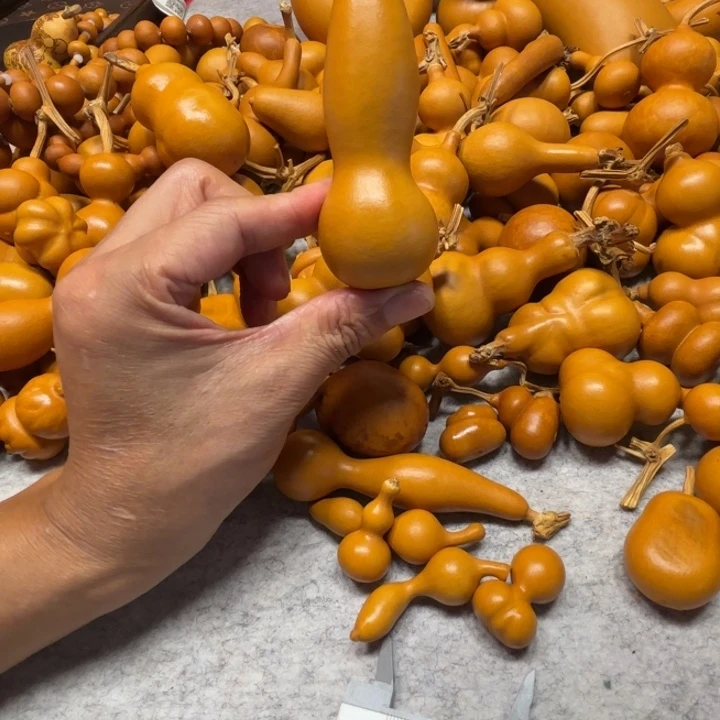 沐***⁷一把极落的一把本长葫芦