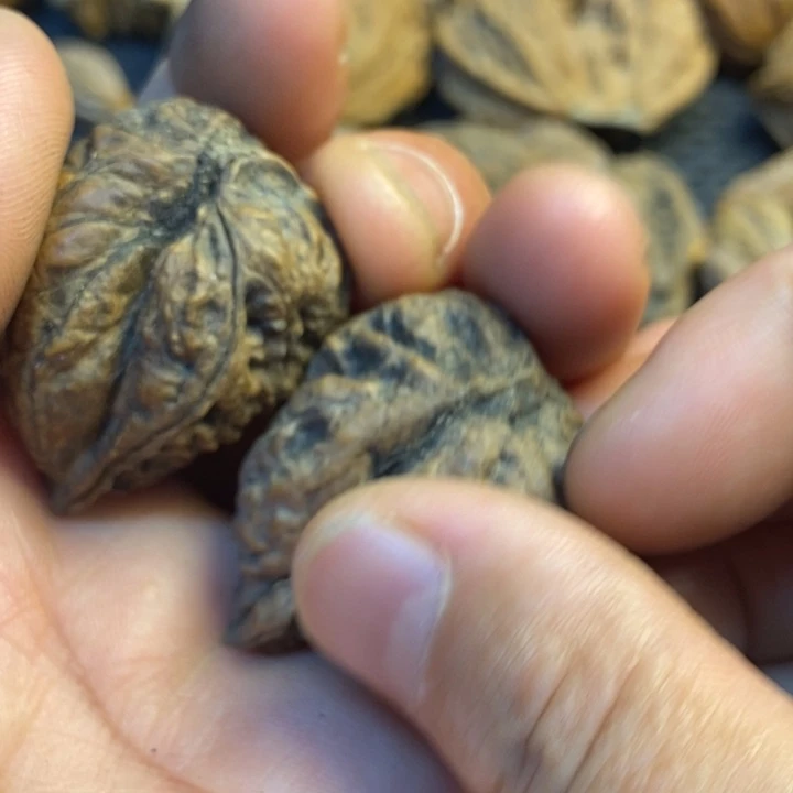 文玩核桃吊坠娜姐139