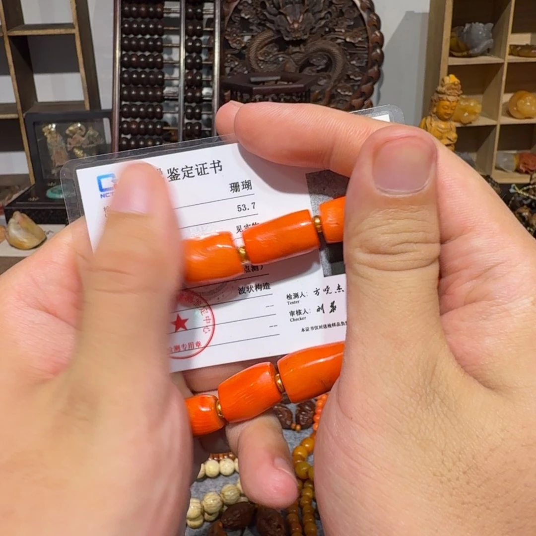 静*一号链接即拍即发