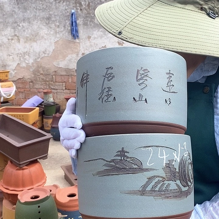 紫砂花盆盆栽花卉种植
