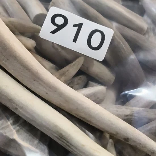 博***览鹿角鹿角鹿角鹿角鹿角鹿角