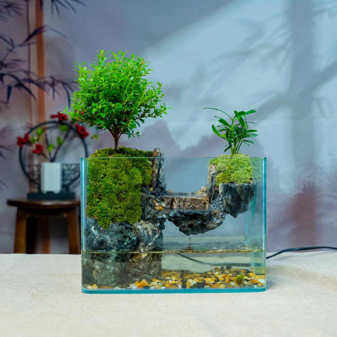 【特惠】平台流水景观-尺寸长25宽16高18厘米成品桌面绿植可养鱼