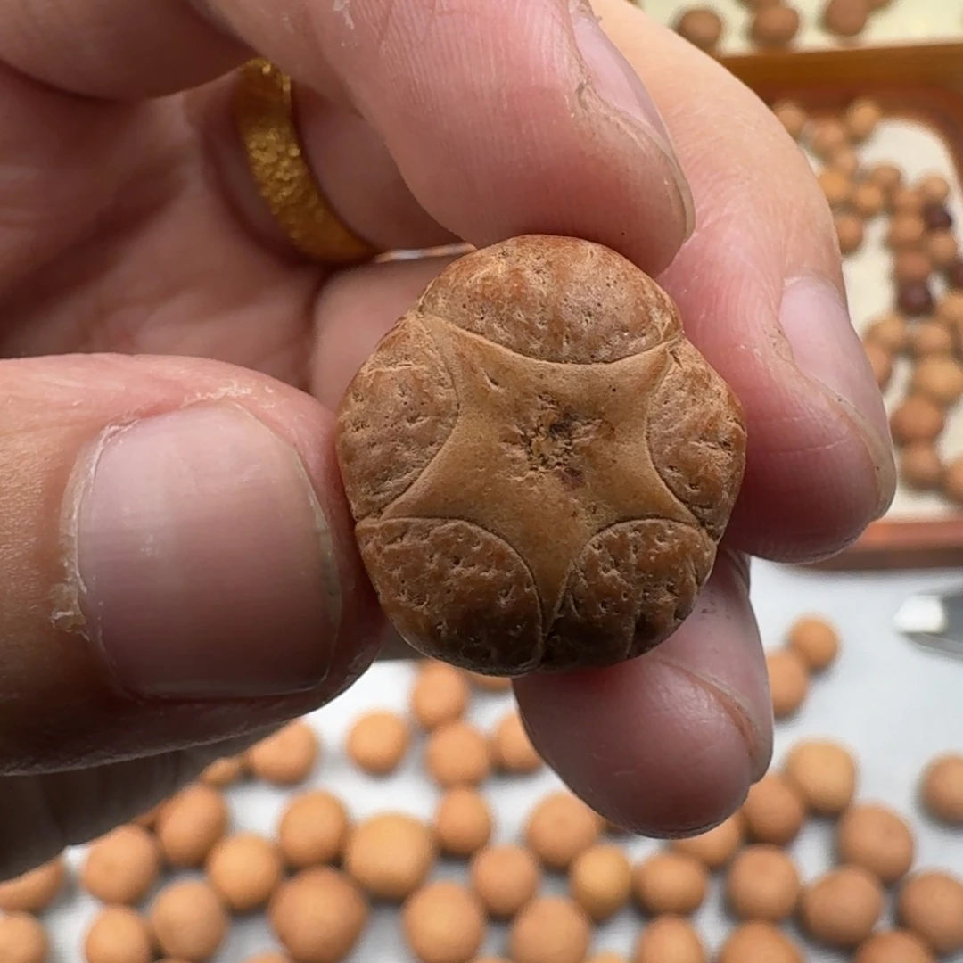 核***下手串凤眼菩提五星