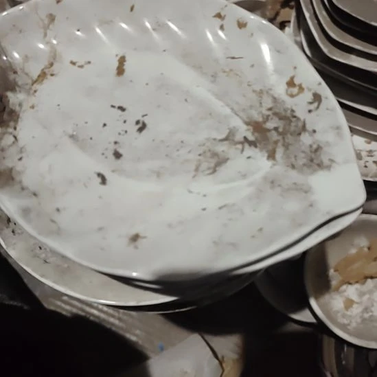 瓷发三个树叶盘子，长20