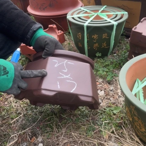 紫砂花盆紫砂花盆盆景盆栽