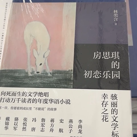 房思琪的初恋乐园9平装闪购