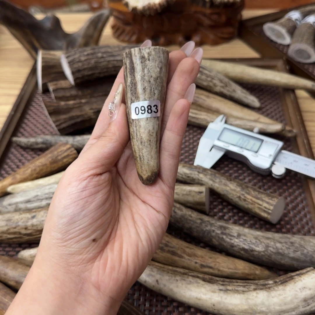 其他鹿骨0983脚尖