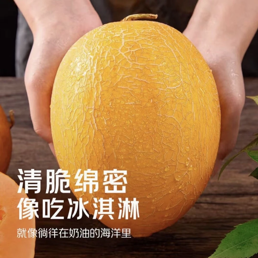 【顺丰包邮】新疆吐鲁番黄金蜜瓜哈密瓜香甜多汁新疆维吾尔自治区