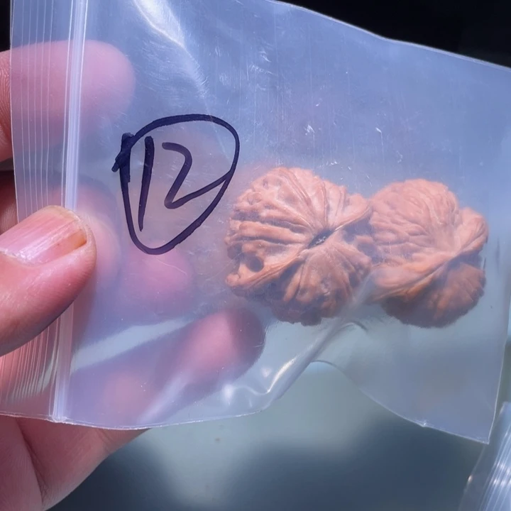 吊坠文玩核桃12呃呃呃