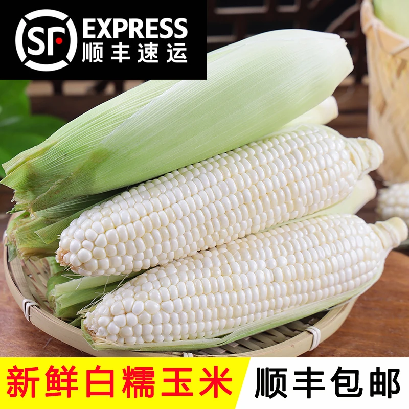 【顺丰速运】白糯玉米5斤装带壳新鲜玉米甜糯玉米鲜食玉米