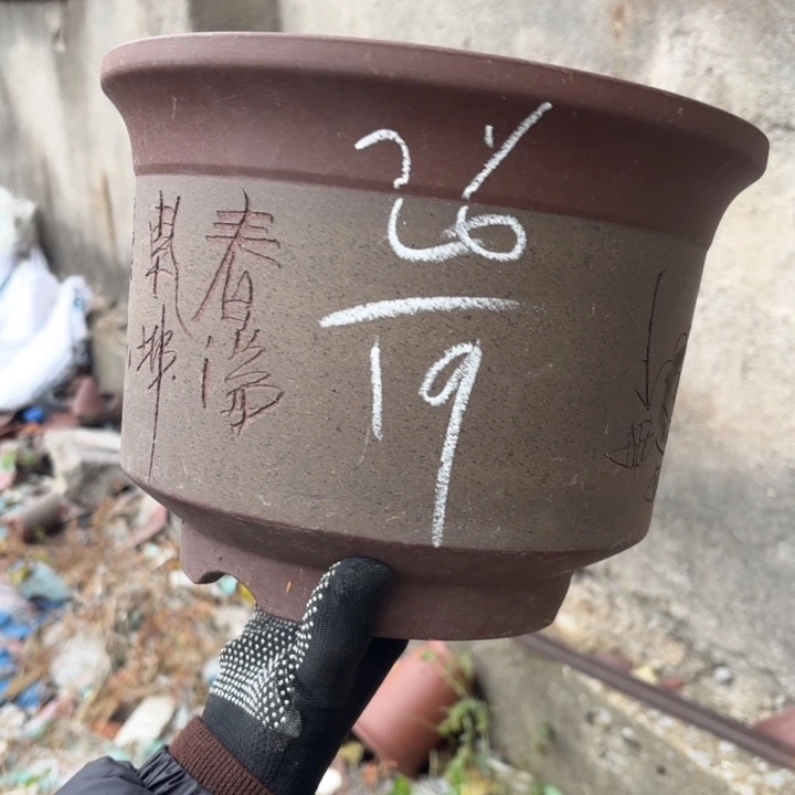 茶壶紫砂紫砂的颜色