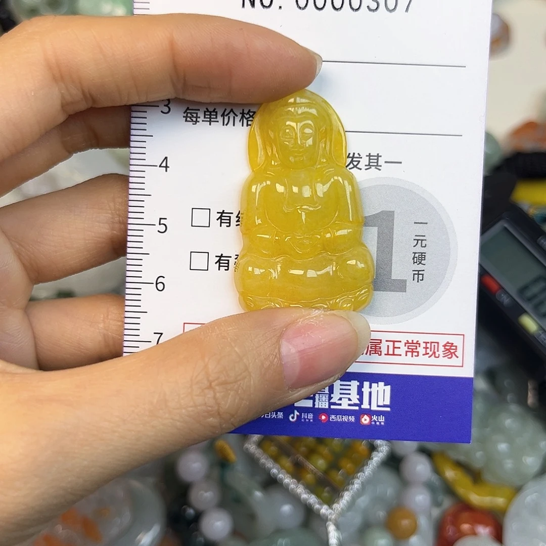 翡翠未镶嵌颈饰307