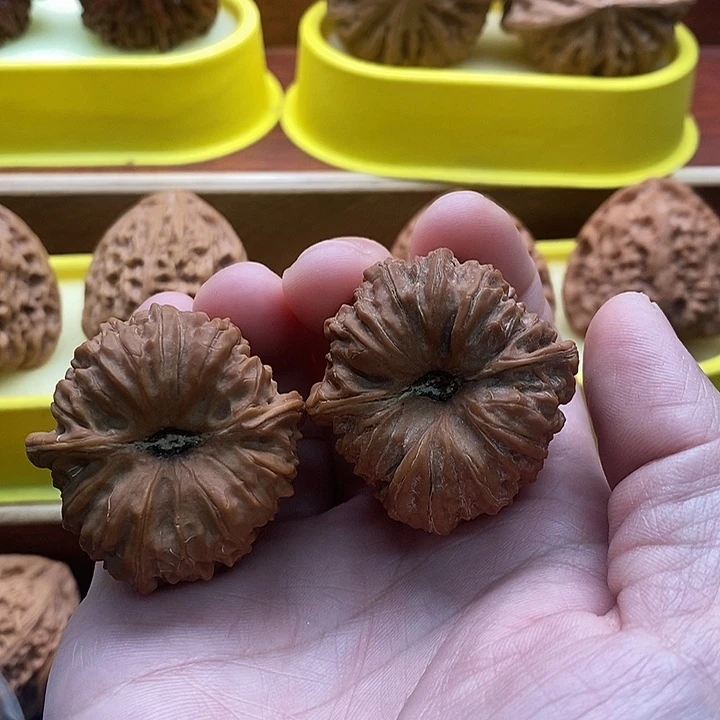 文玩核桃吊坠凹底