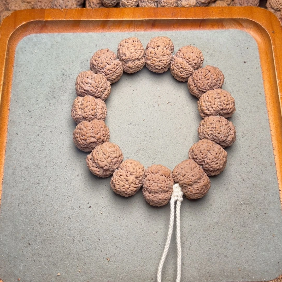 菩提32号金刚菩提菠萝蜜微夹23