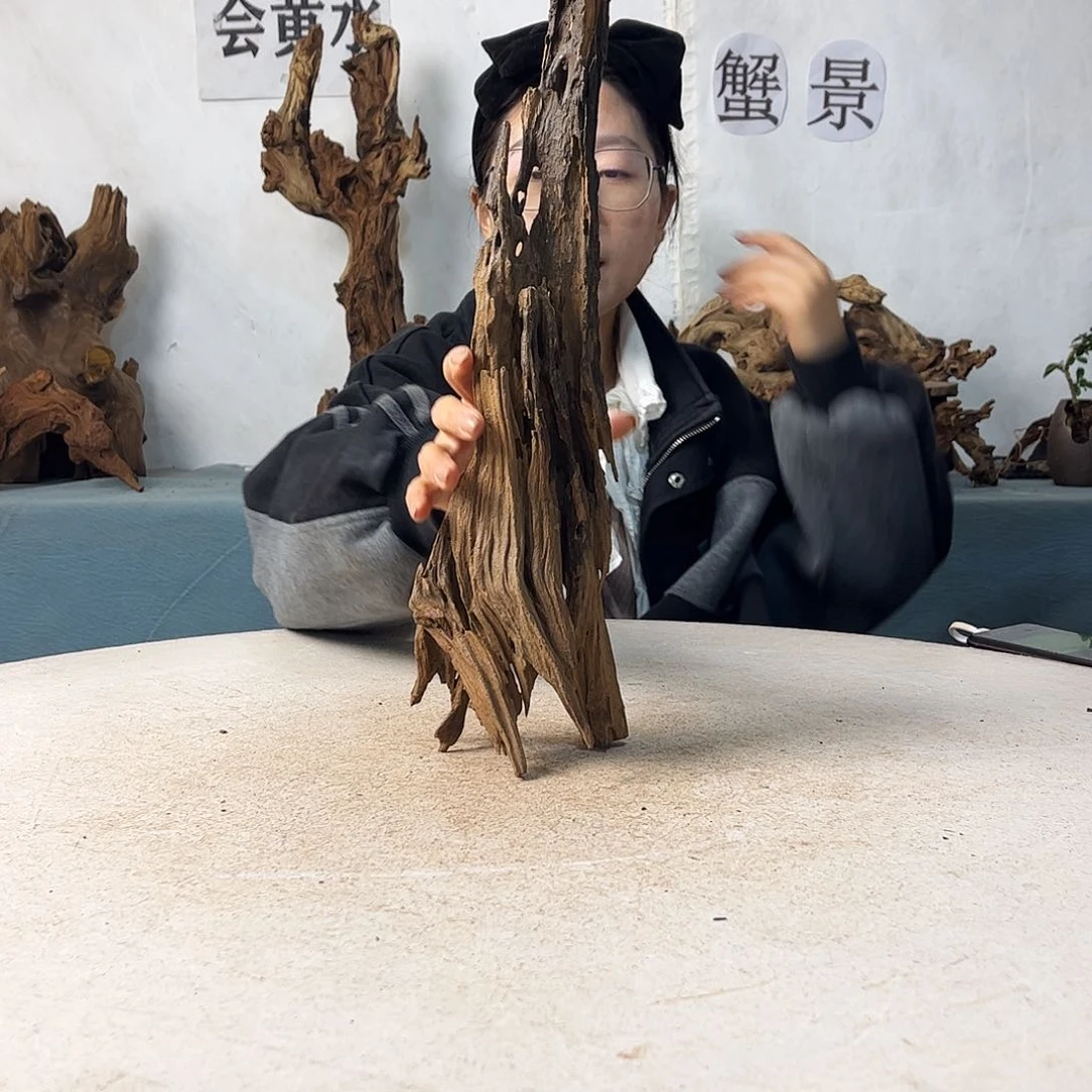 沉木造景爬宠造景