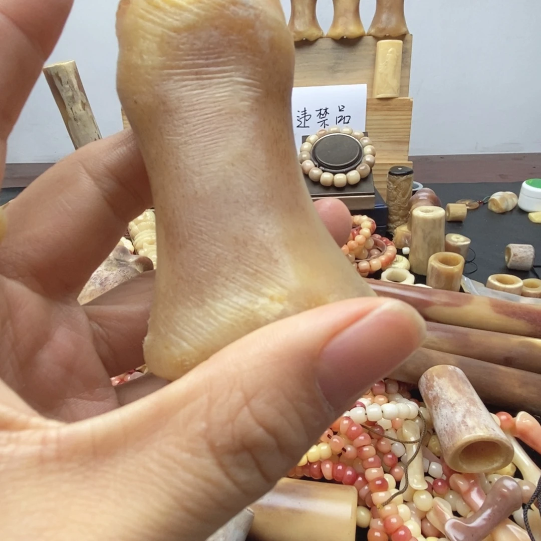 手串/手链驼骨掌骨
