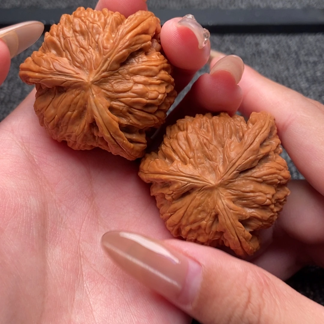 木质类白狮子正奔