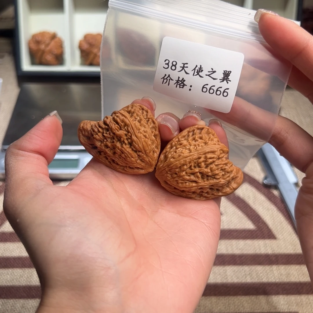 38全品密纹天使之翼