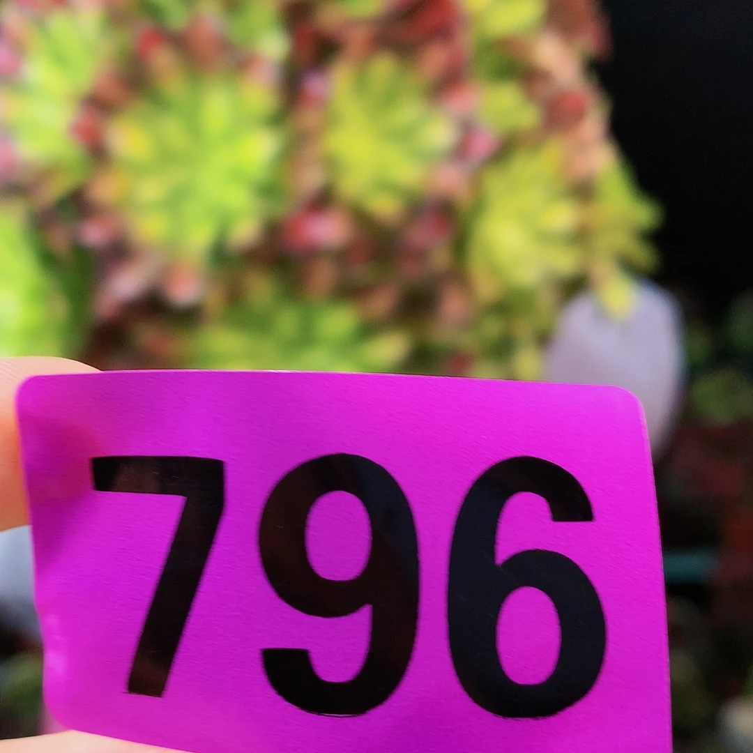 sssssssssssssssssssssss796