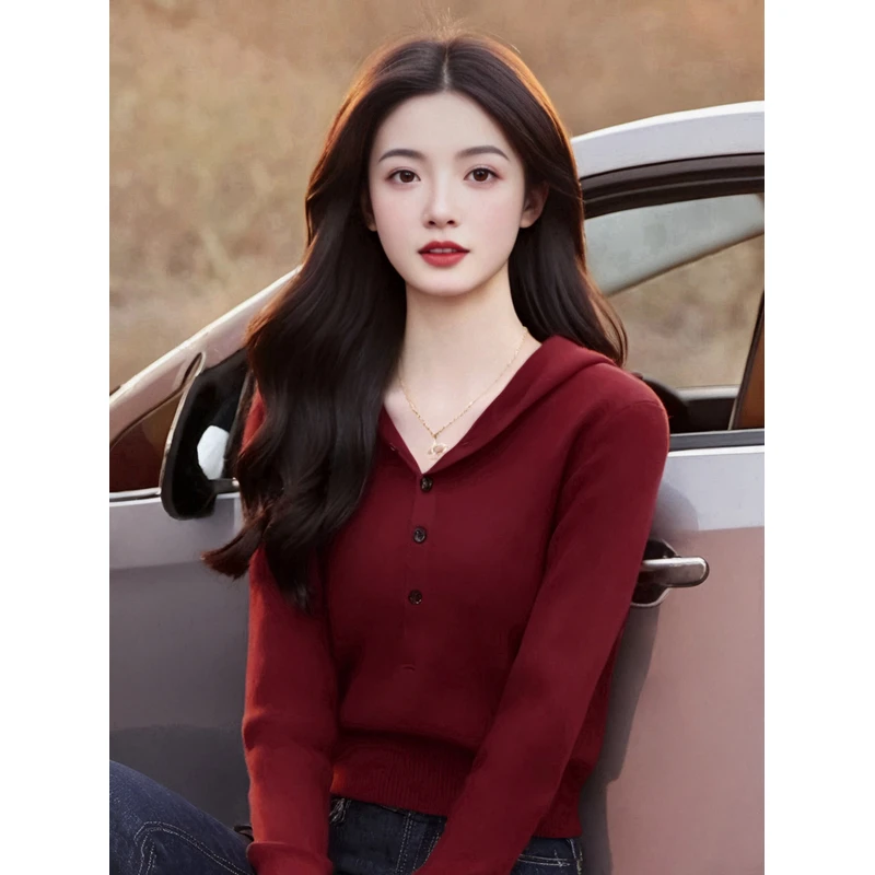 (南油衣衣)连帽毛衣针织长袖套头上衣秋季新款洋气百搭针织衫983