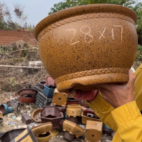 花盆紫砂特价包邮送