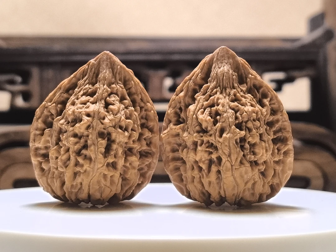 涿鹿野生南将山核桃—南将山