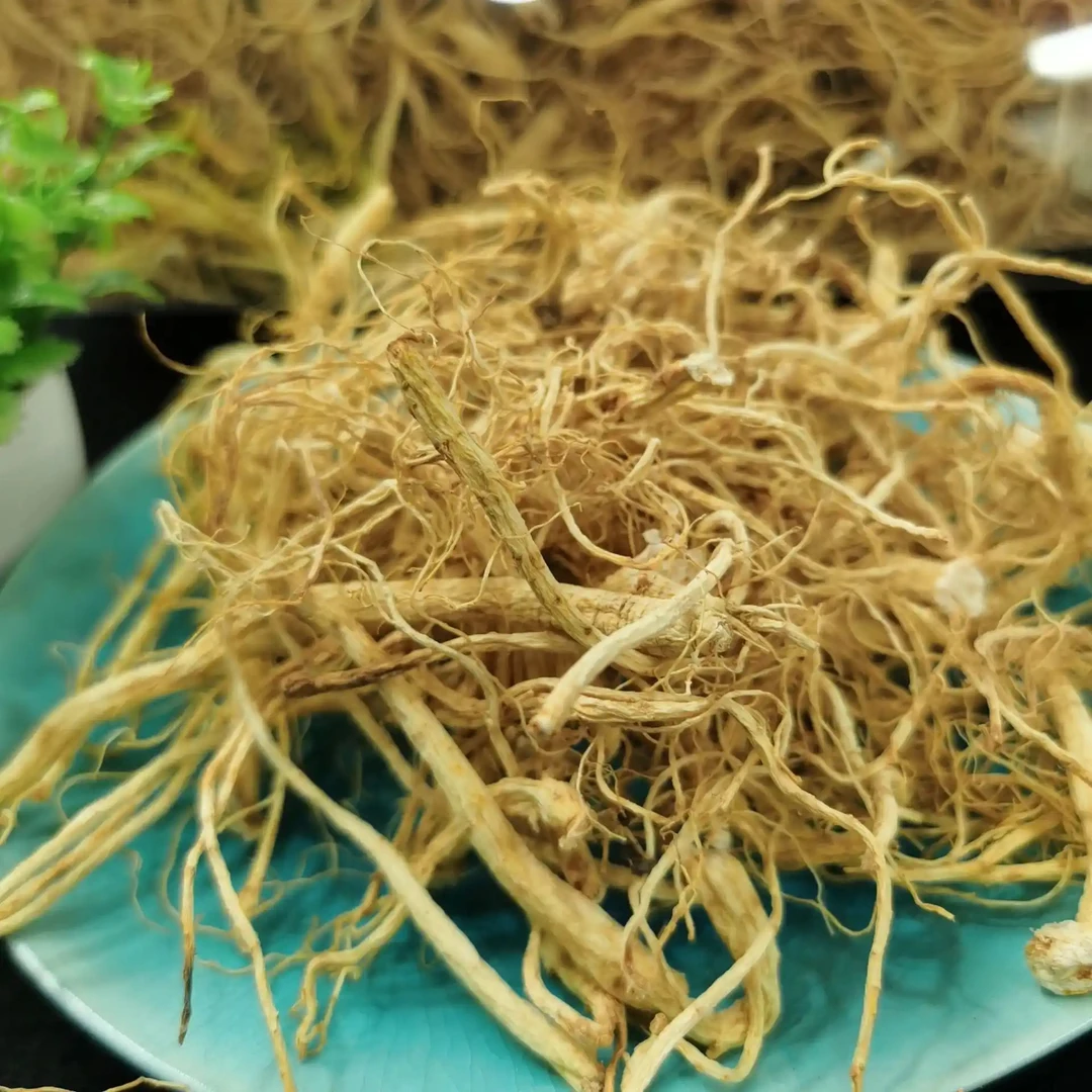 东北长白山林下参须