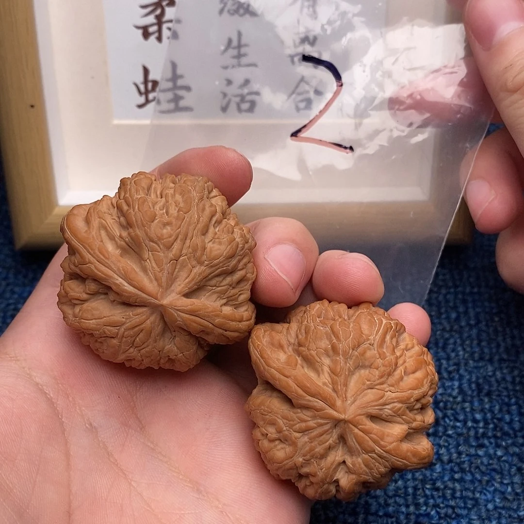 文玩核桃把件大粗筋48尺全品,