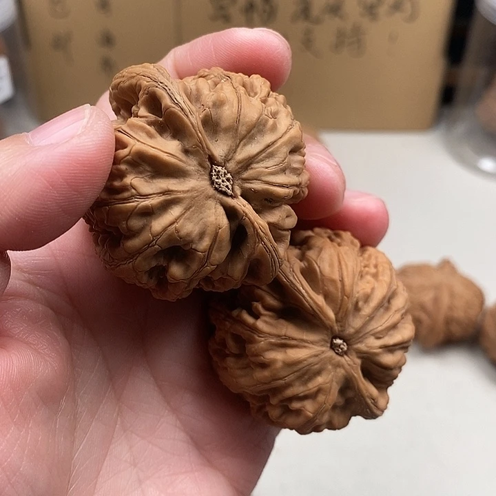 <***。木质类232.232.232.232