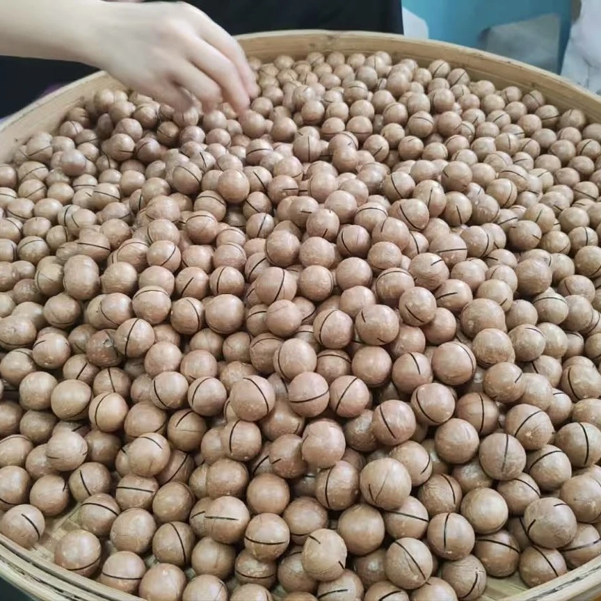 【2斤装 更划算】广西新鲜原味奶香特大夏威夷果休闲零食坚果