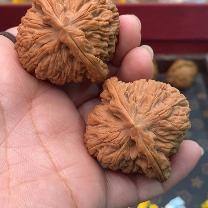 核桃南疆石45尺核桃