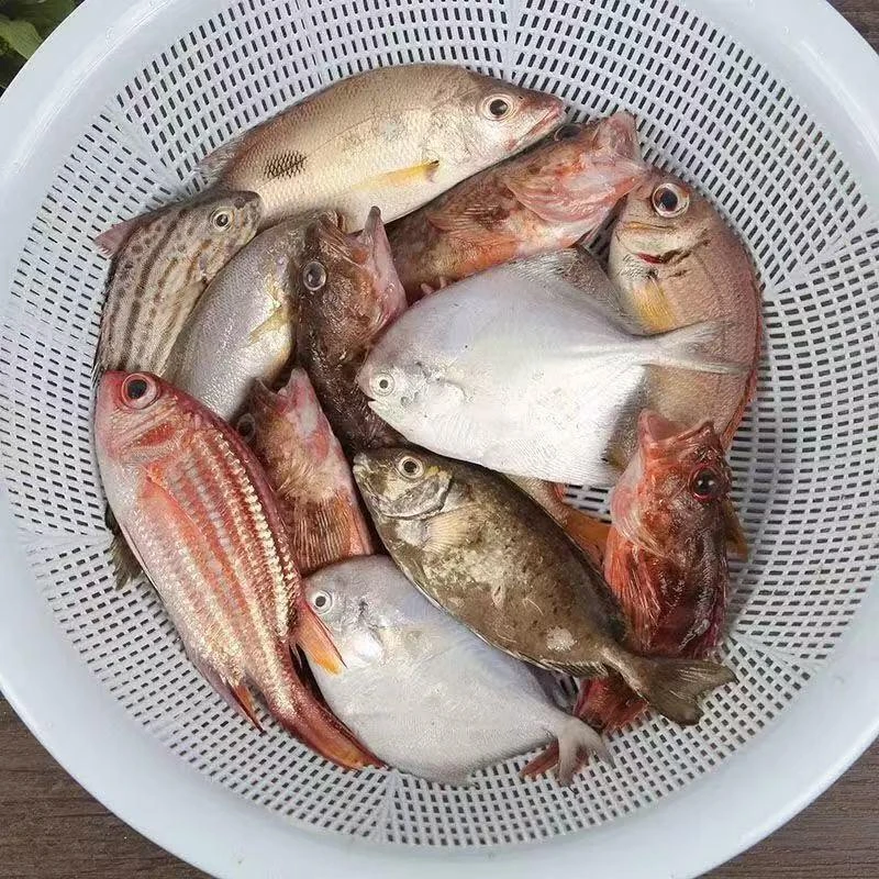 【杂鱼链接】具体重量以直播间为主