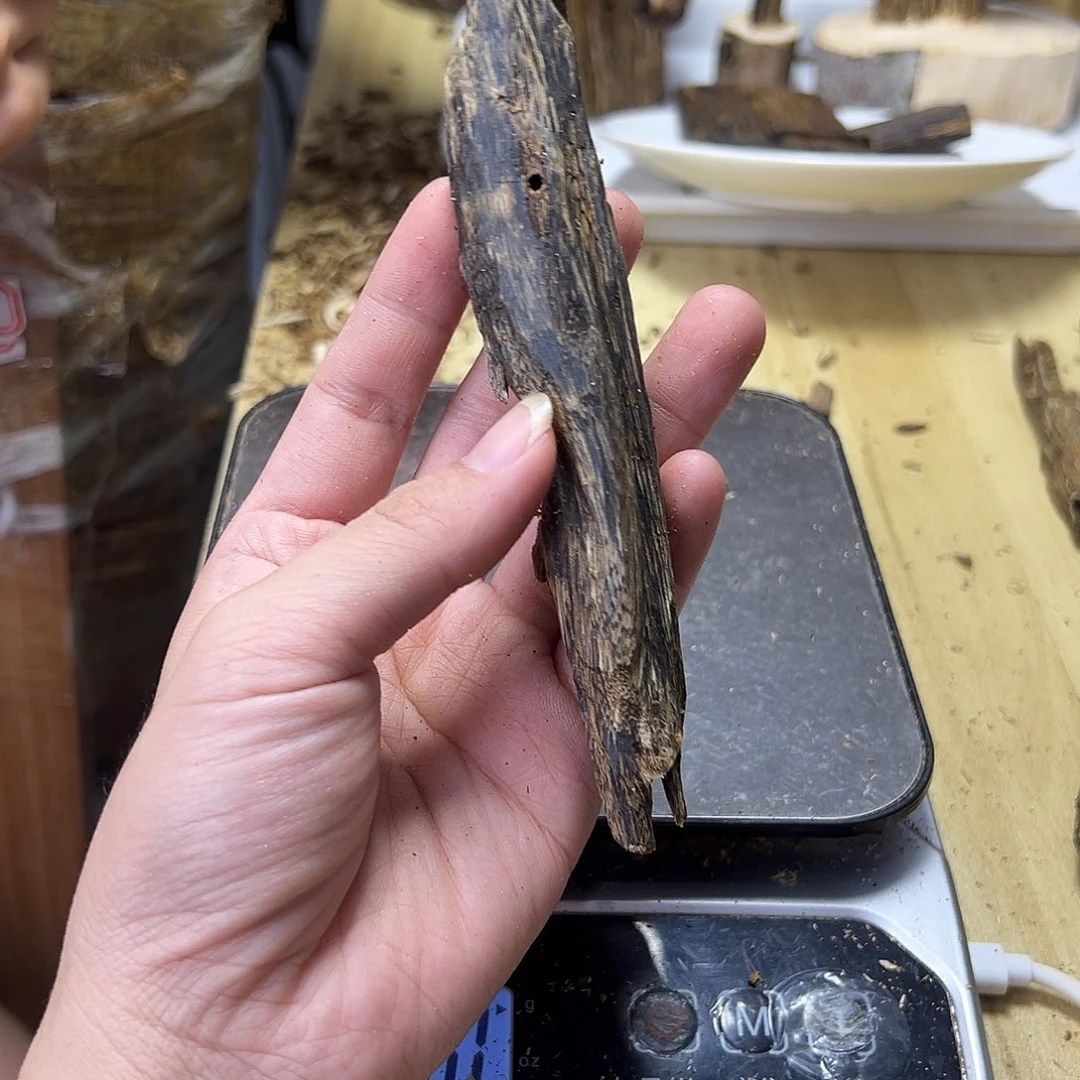 木绿奇楠虫漏27克