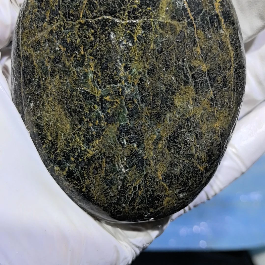 蒙***哥藏玉药王石原石一个摆件