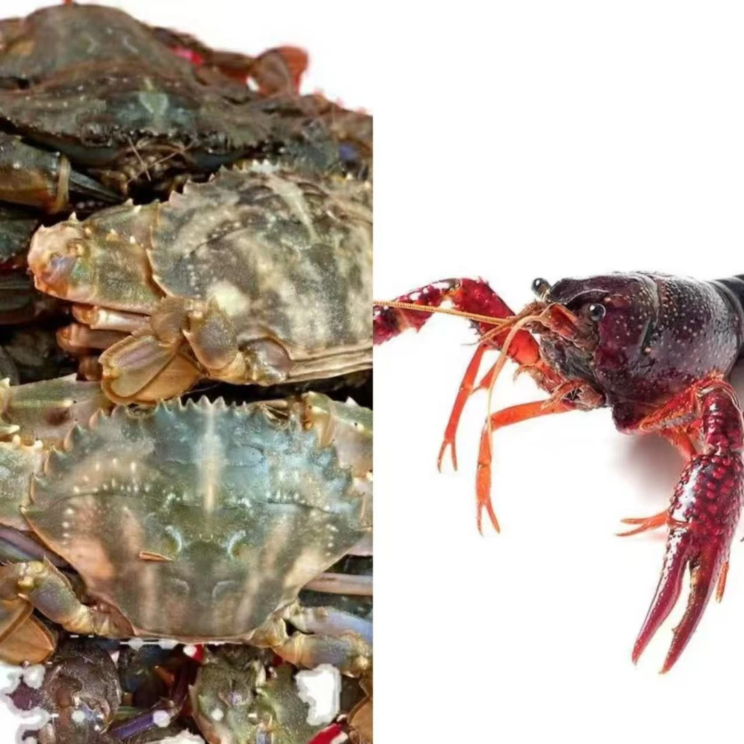 【小时达】小龙虾+花盖蟹3斤装