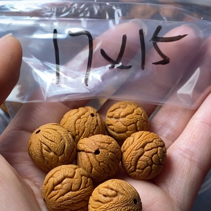 文玩核桃手串秦岭野生龙纹桃核17