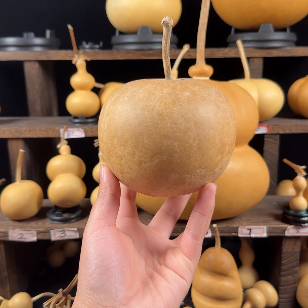 思***主葫芦葫芦葫芦葫芦葫芦