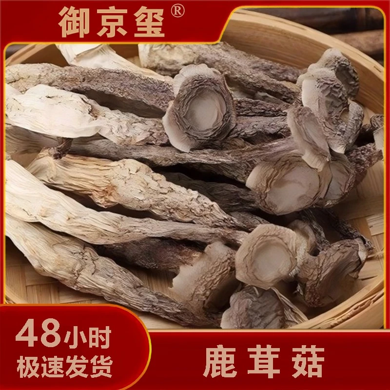 【真真呀专属】鹿茸菇精选品质 干货