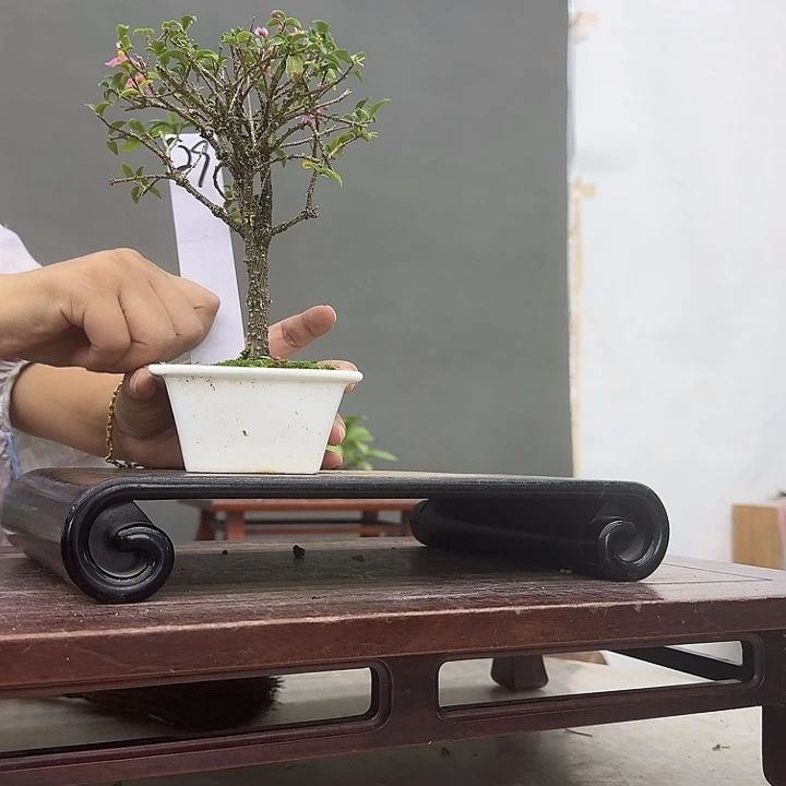 岭***景29顺丰到付。
