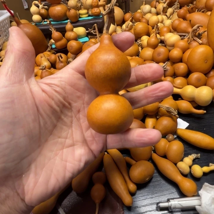 石*舌头的一把花皮豆腐，八宝葫芦