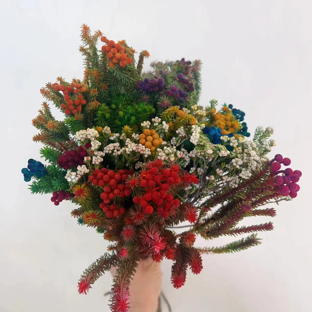 兰姐的一花一瓶【花椒果】昆明基地直发 顺丰包邮