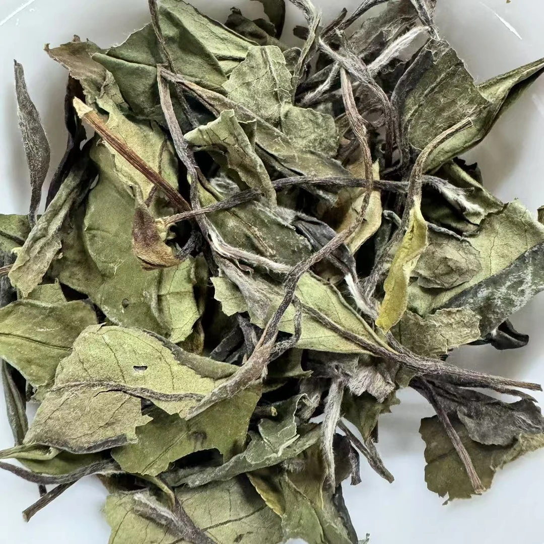 【江缘】福鼎白茶，2018年群体种小菜茶·清明节气·虫眼·豪猪洞