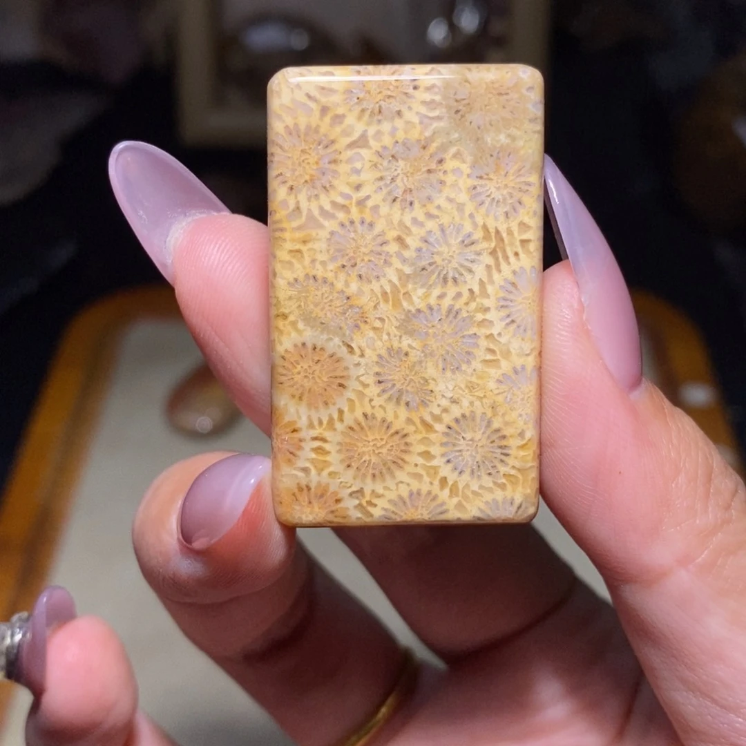 【闪购商品】硅化玉珊瑚玉未镶嵌