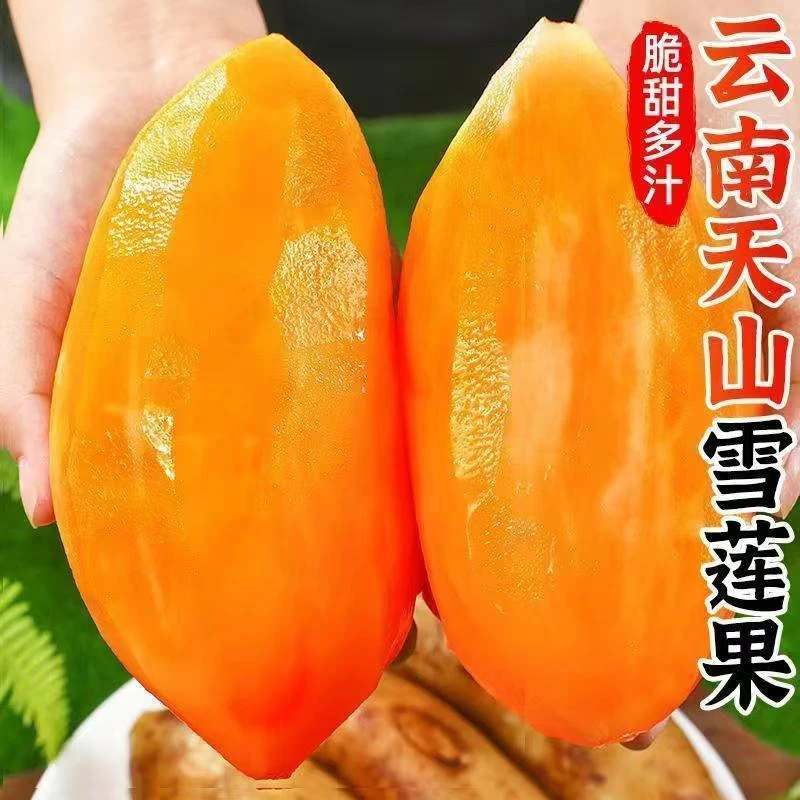 云南天山雪莲果黄心新鲜应季水果清甜脆爽多汁