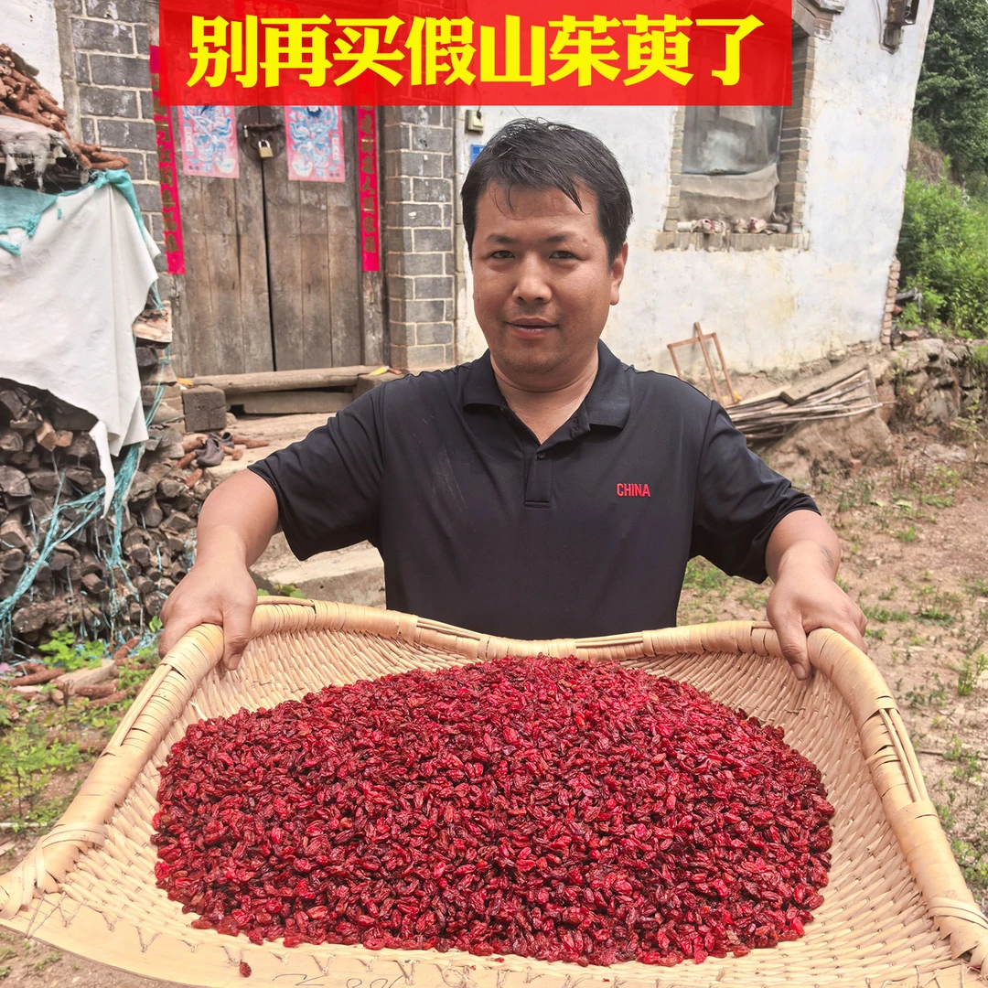 老君山山茱萸秦岭山萸肉非野生特级枣皮可泡茶山茱萸的功效与作用