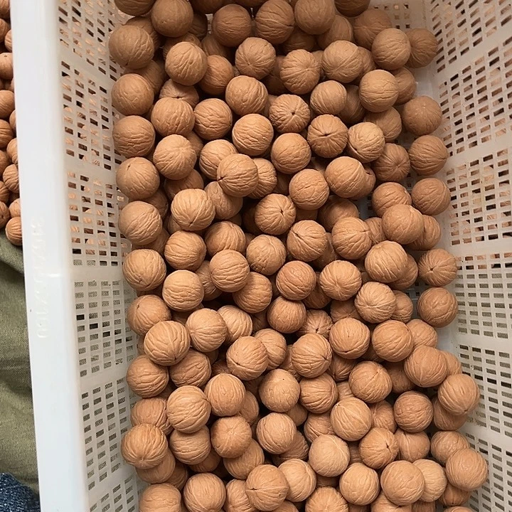 手串猴头核桃聚宝盆50ke