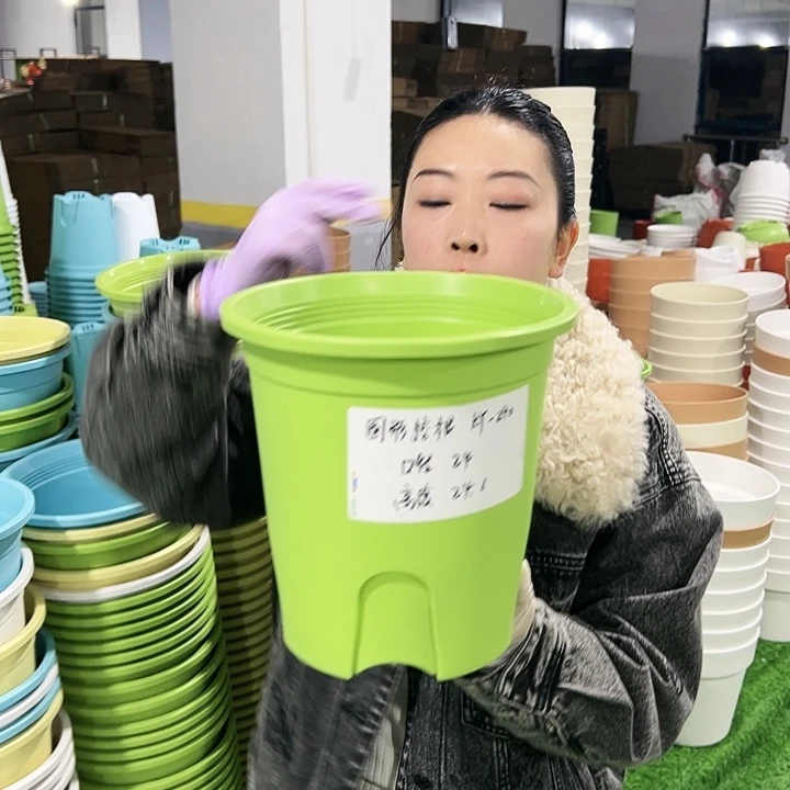 正品圆控口24高24果绿8支无托