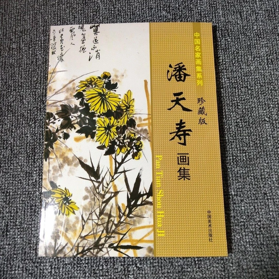 中国名家画集系列 珍藏版 潘天寿画集 写意花鸟画谱作品