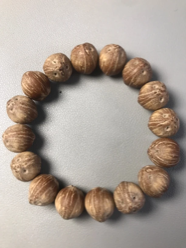 实心鼠原皮鼠，尺寸16，精挑精卡，归圆，一条毕业